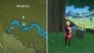 Location of 5th Fecund Hamper near Windrise (Image via Genshin Impact)